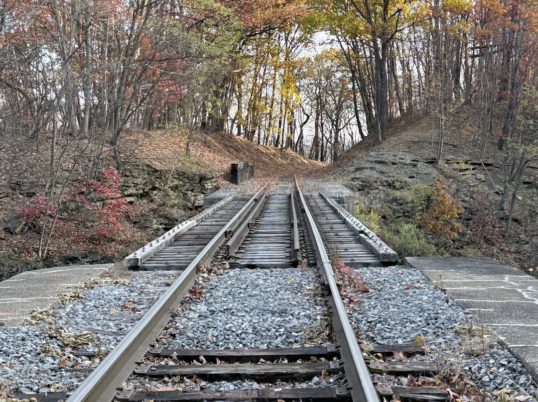 Tracks and Yaks-弗罗斯特堡必去景点