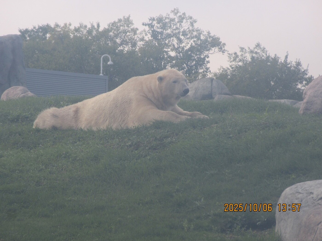Assiniboine Park Zoo-温尼伯必去景点