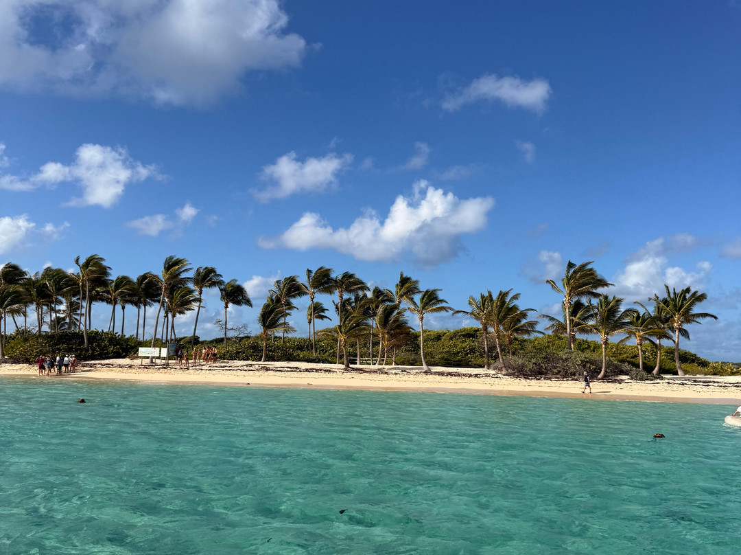 Tarzan Excursion Guadeloupe-Sainte-Anne必去景点