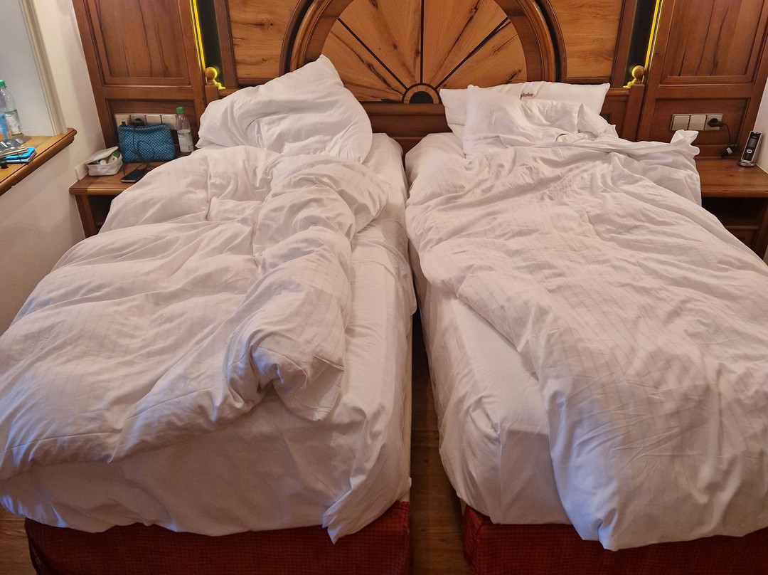 多棱伯格酒店主图