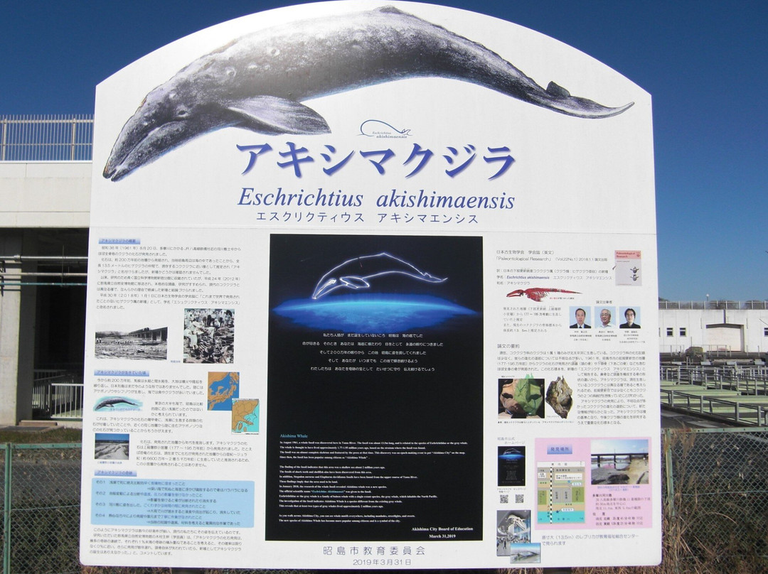 Akishimakujira de Tochi