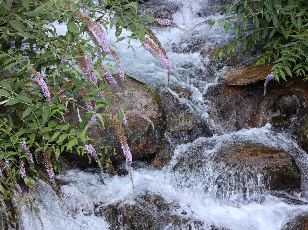 Cascata di Branzi-Branzi必去景点