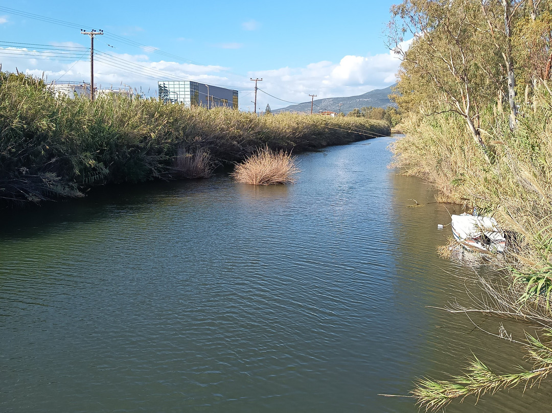 Paralía Dytikís Kalamátas-卡拉马塔必去景点