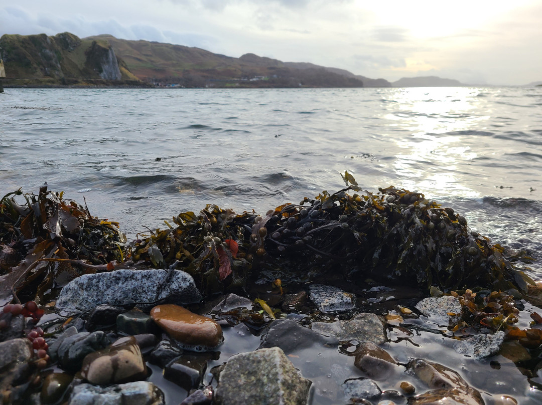 Isle of Kerrera-The Hebrides必去景点