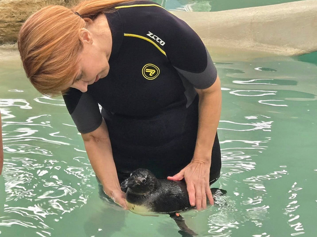 Tanganyika Wildlife Park-Goddard必去景点