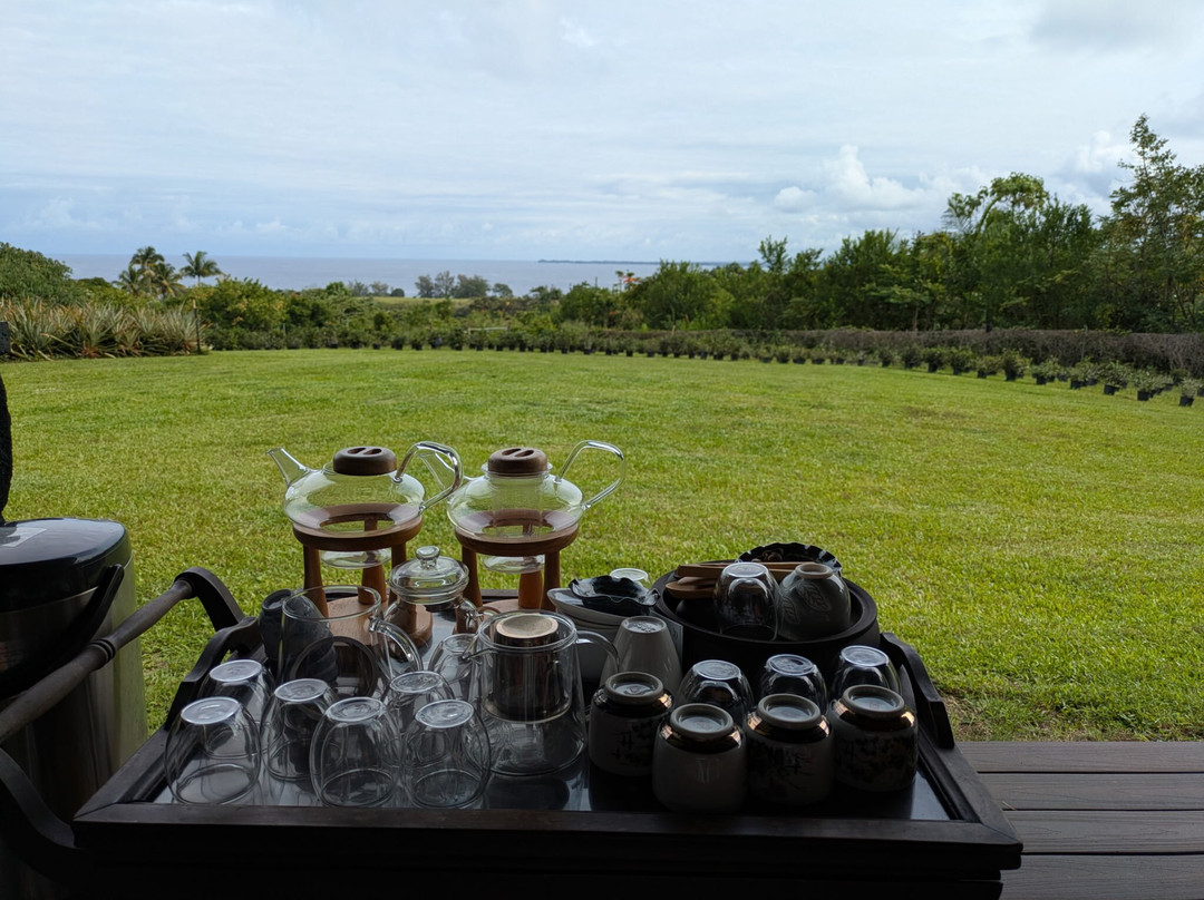 Ancient Leaf Tea-帕派科欧必去景点