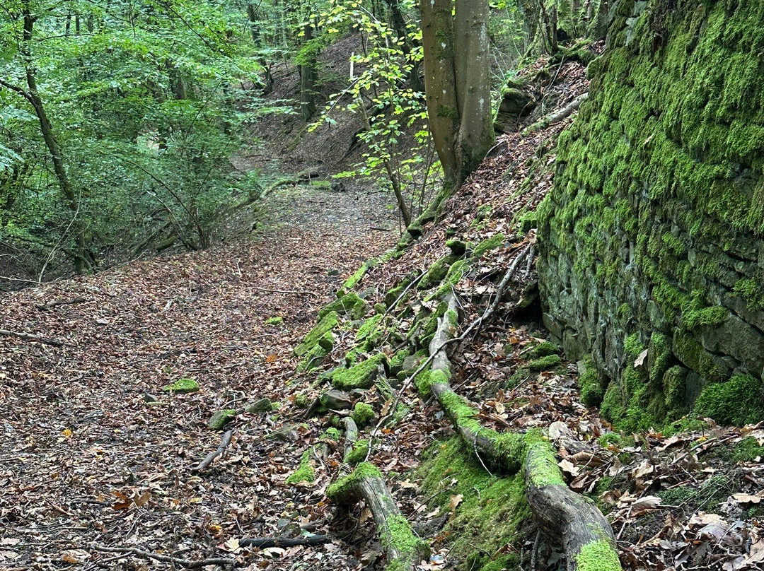 Magische Heimbach - Wanderung-Meisenheim必去景点