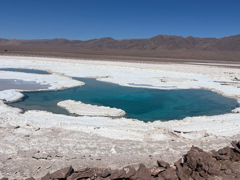 Ccapcha Expediciones-圣佩德罗-德阿塔卡马必去景点