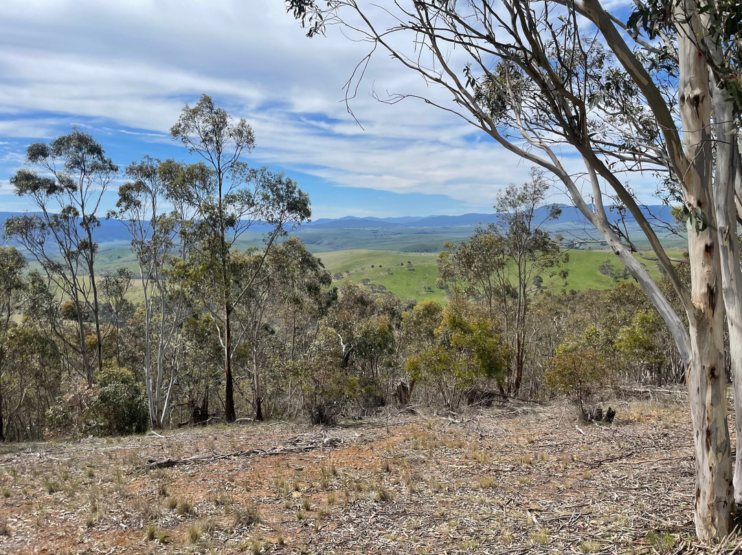 McMillan Lookout-Omeo必去景点