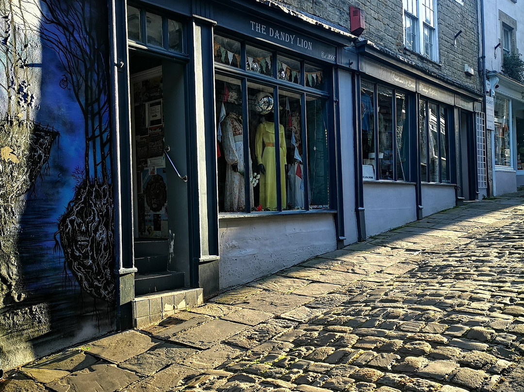 The Dandy Lion-弗罗姆必去景点