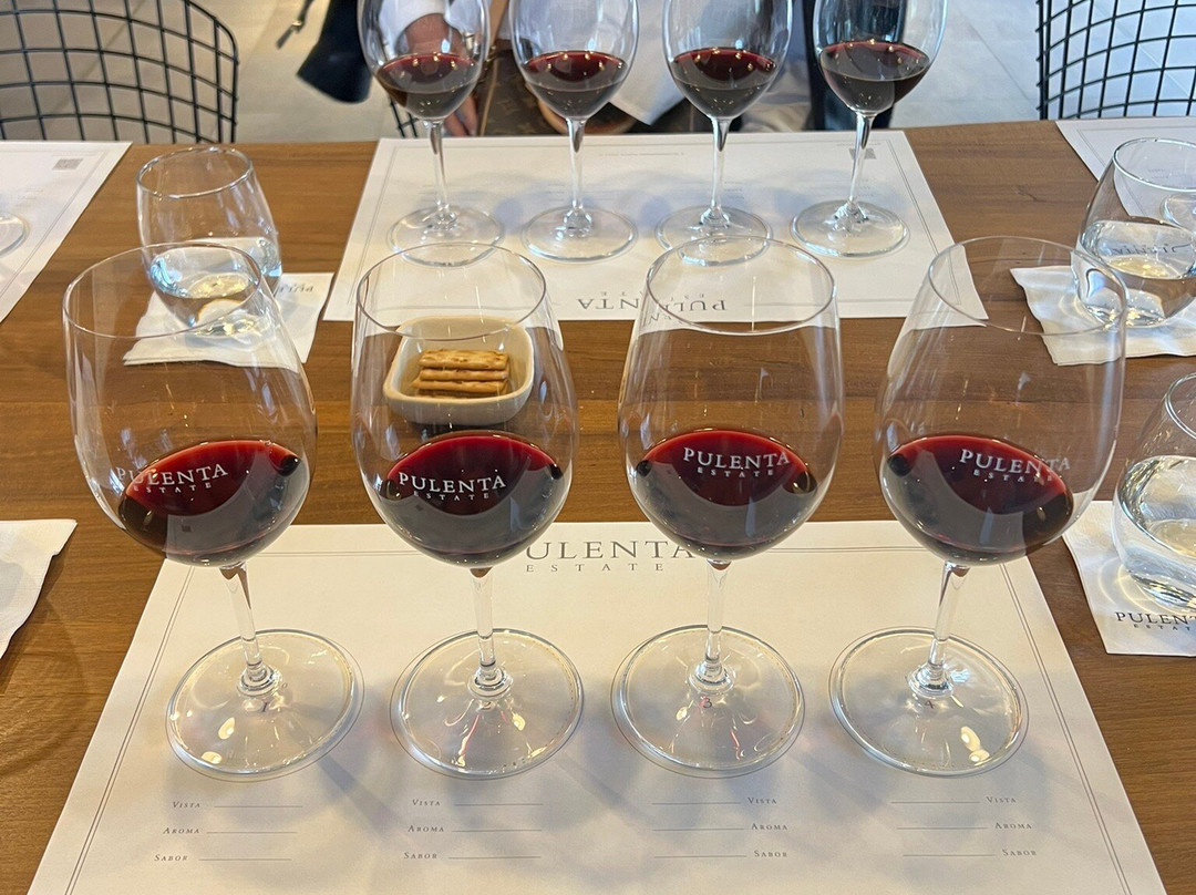 Pulenta Estate Winery-阿格雷洛必去景点