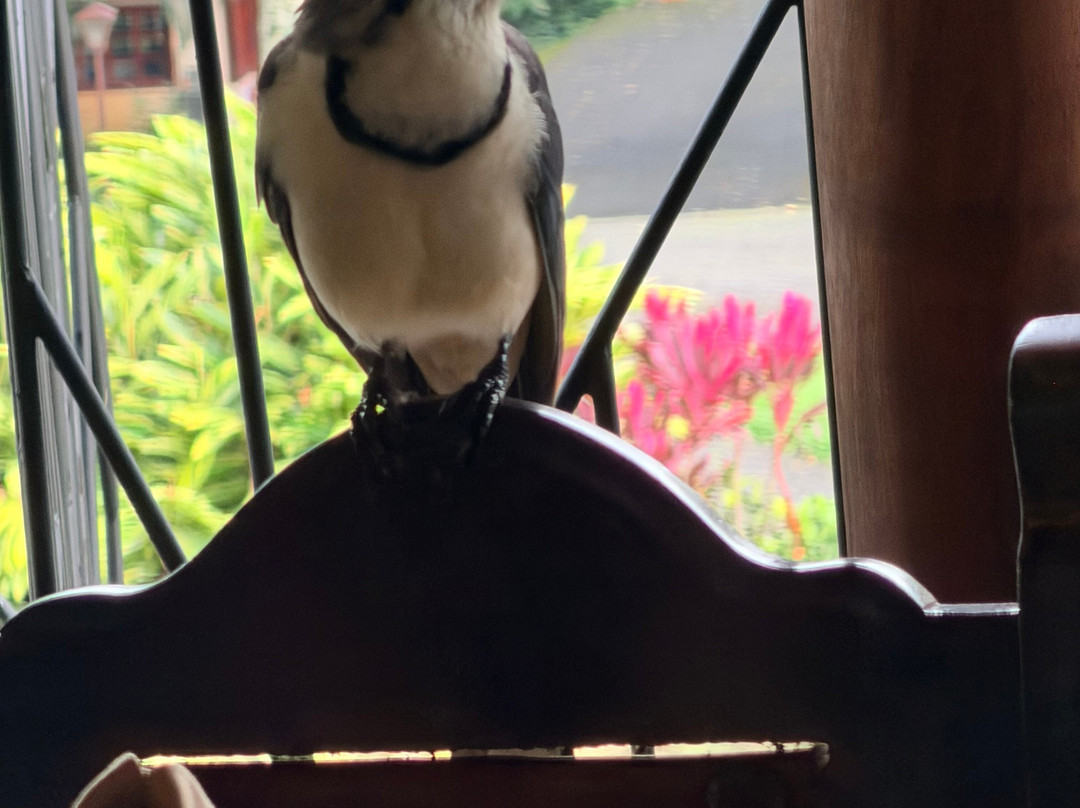 NexusTours-圣何塞必去景点