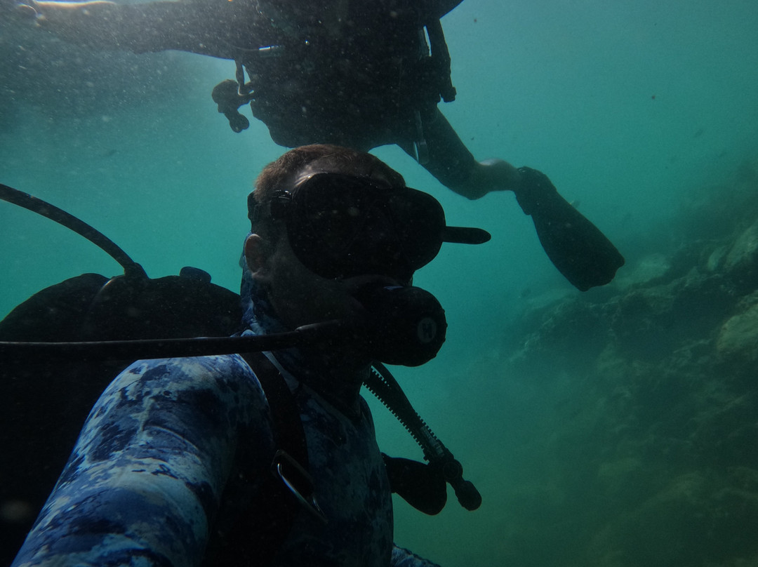 Reef Oasis Diving Center | Fujairah-Al Aqah必去景点