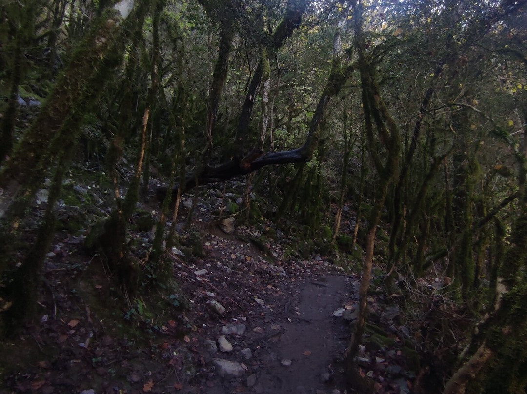 Canon de Anisclo-埃斯卡洛纳必去景点