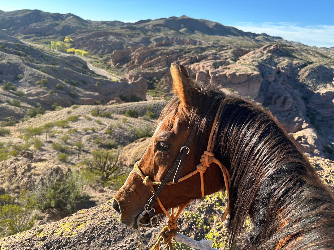 Acacia Riding Adventures-San Acacia必去景点
