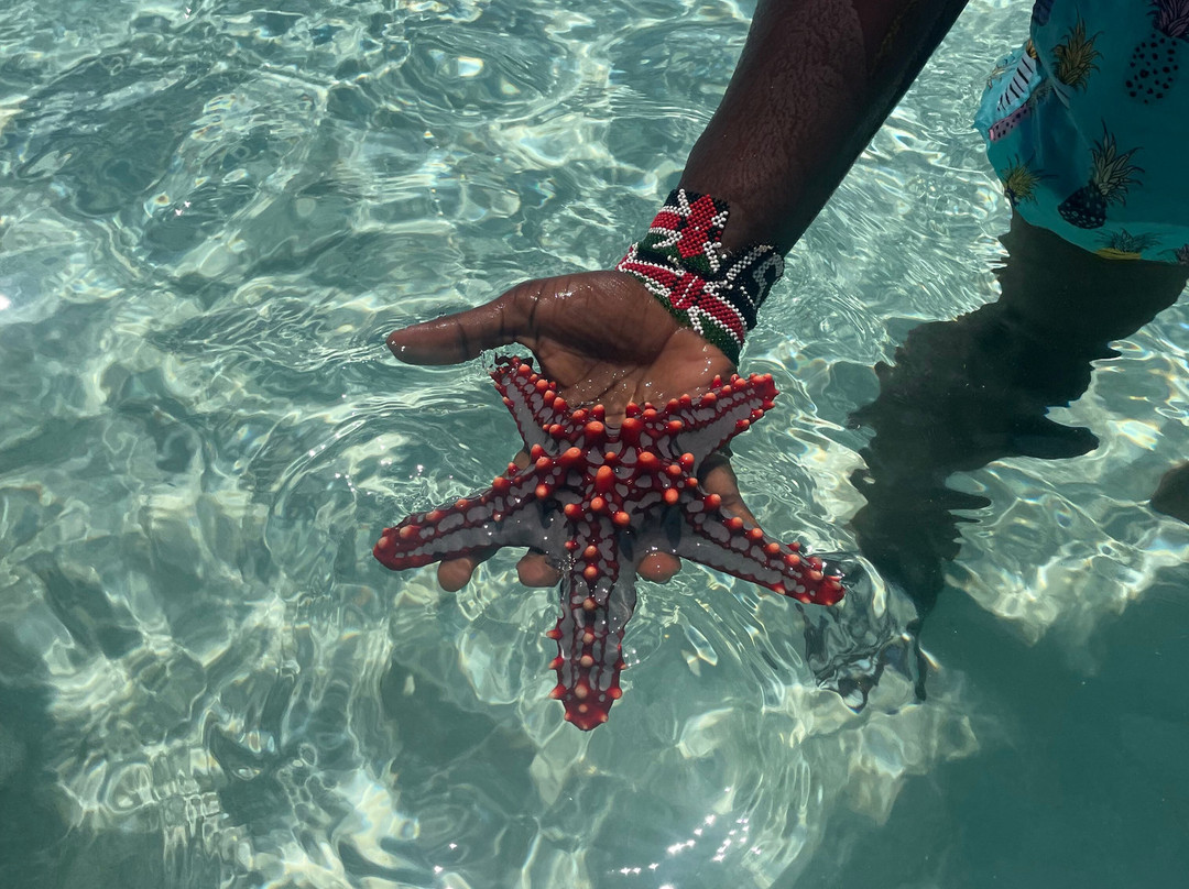 Safari In Kenya Con Samba-瓦塔木必去景点