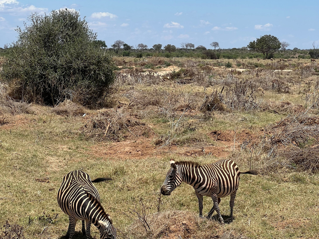 Around Holiday Adventure-查佛必去景点