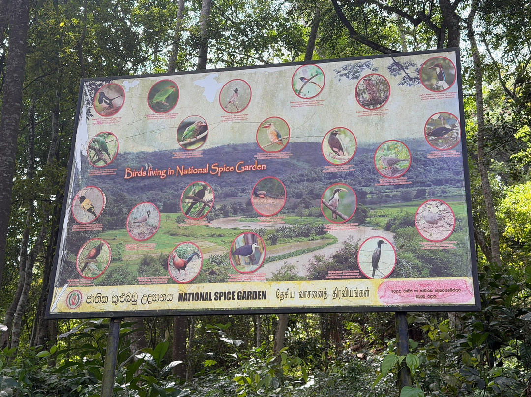 National Spice Garden of Sri Lanka-Matale必去景点
