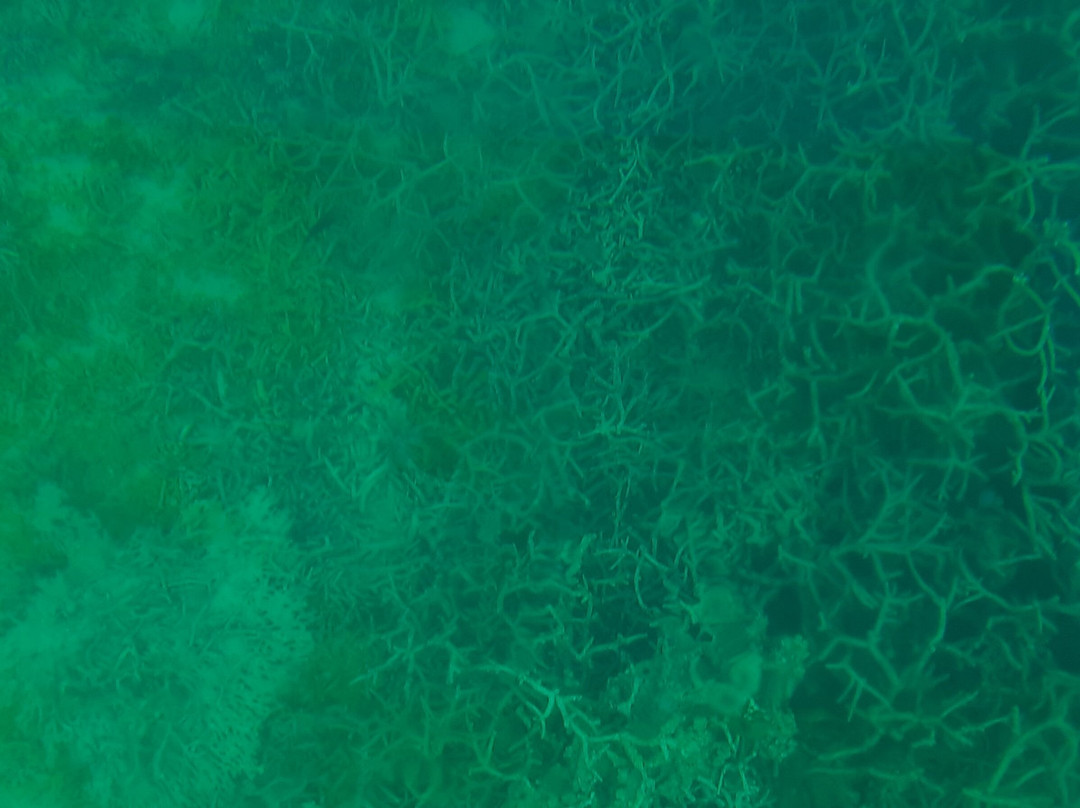 Blue Bay Marine Park-马喜埔必去景点