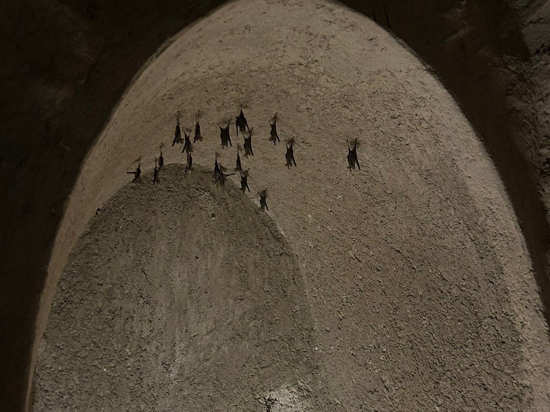 巴赫拉堡-尼日瓦必去景点