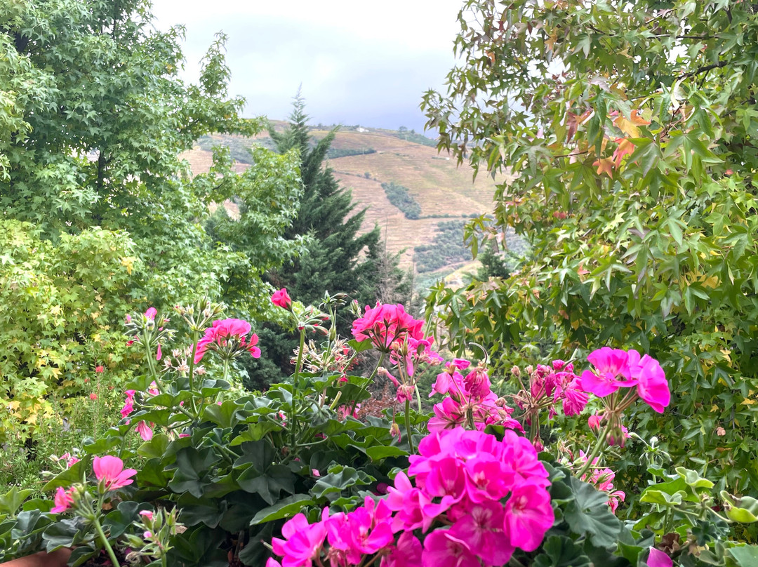 Hotel Quinta do Silval主图