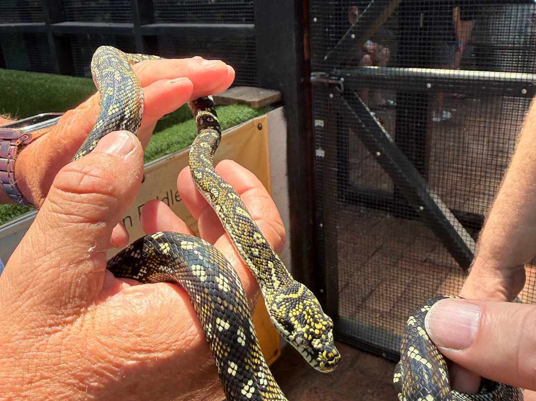 Port Stephens Animal Adventures-Bobs Farm必去景点