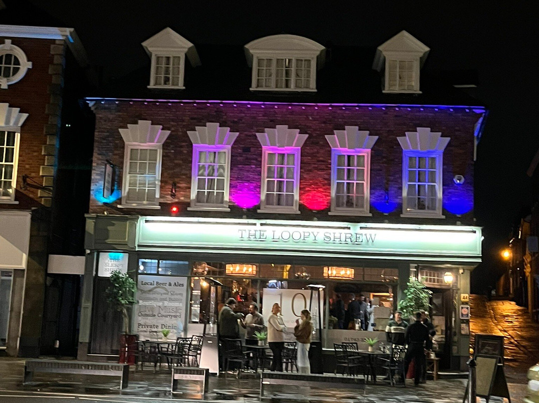 The Loopy Shrew Rooms主图