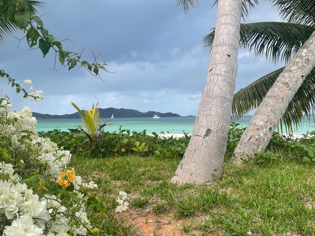 Galerie Passerose-普拉兰岛必去景点