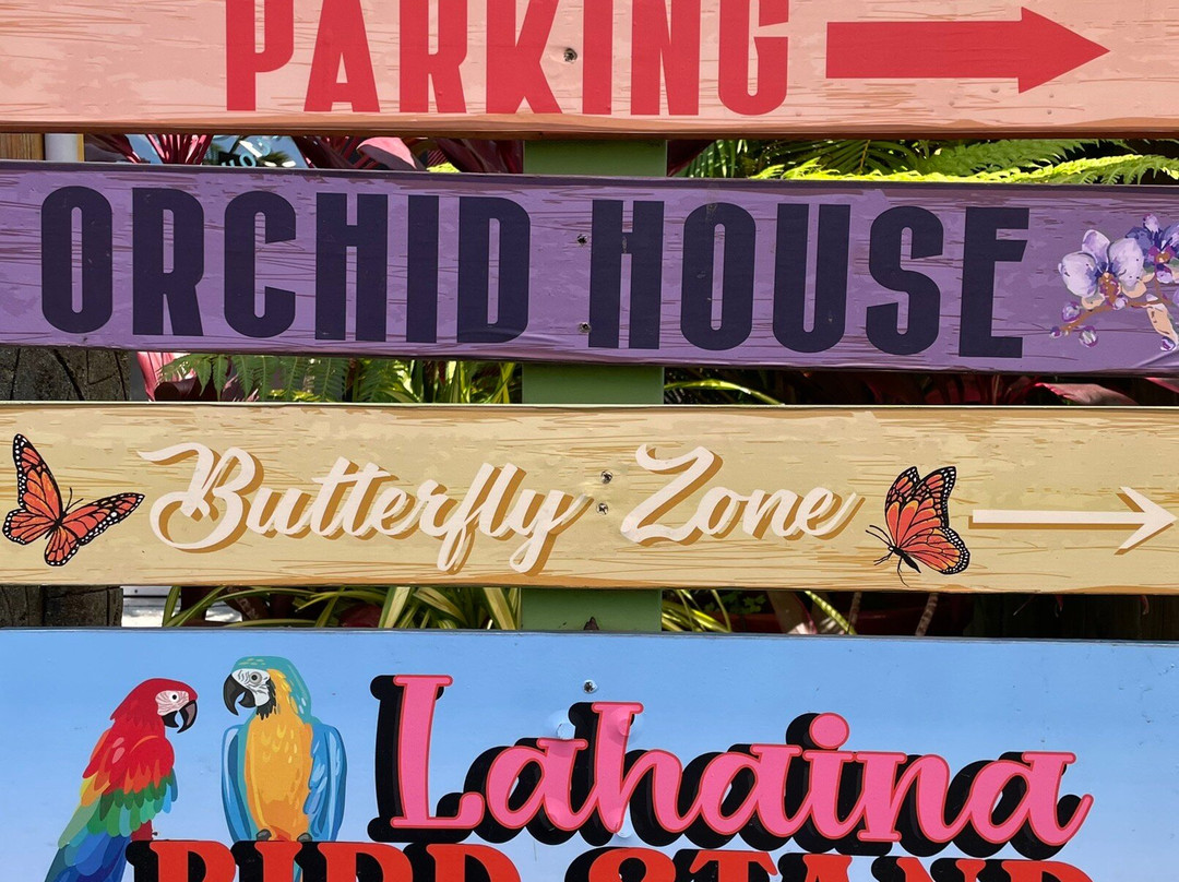 South Maui Gardens-基黑必去景点