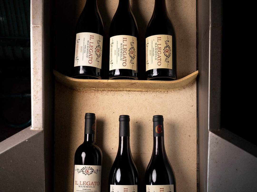 Azienda Agricola Cincinelli-Capolona必去景点