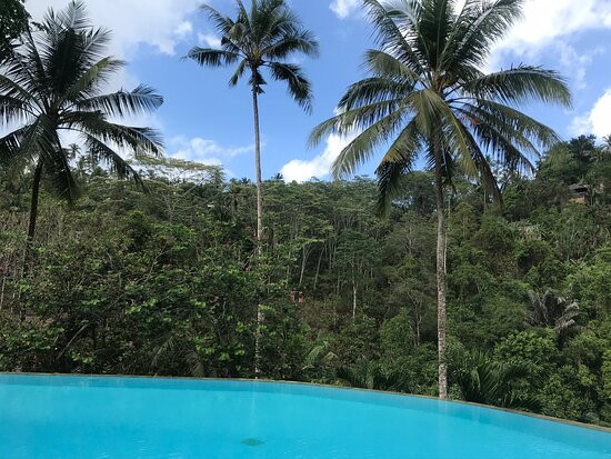 爱咏乌布度假酒店主图