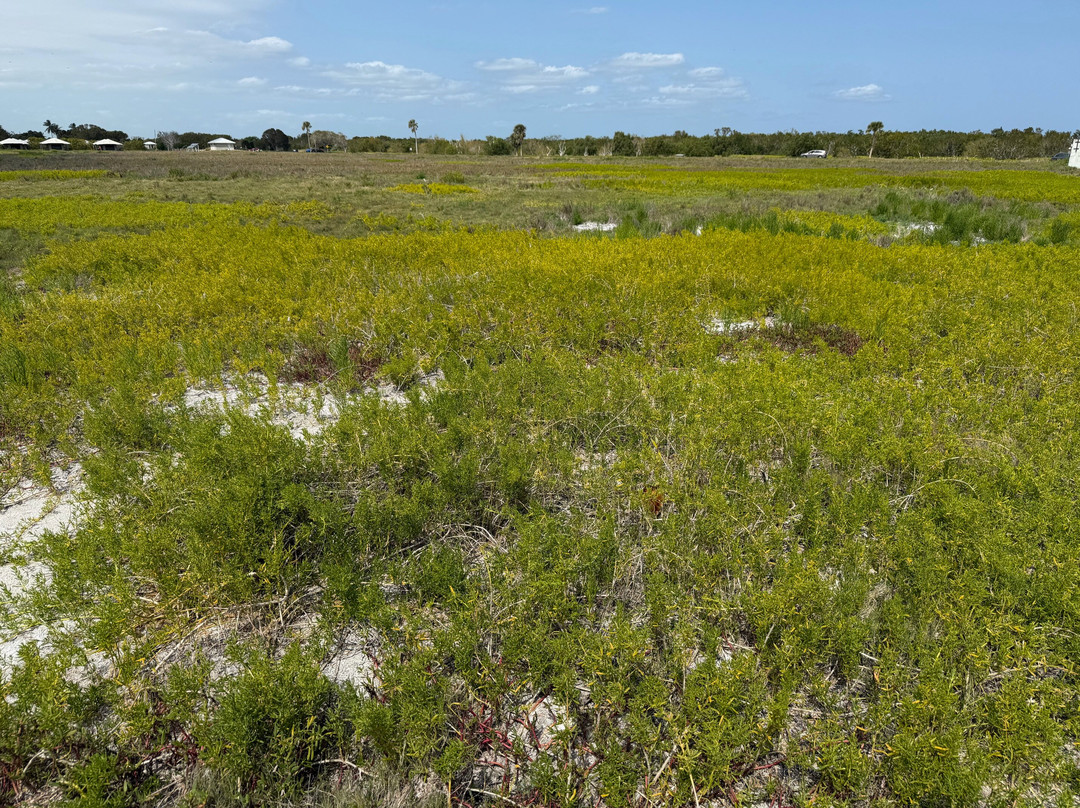 Coastal Prairie Trail-大沼泽国家公园必去景点