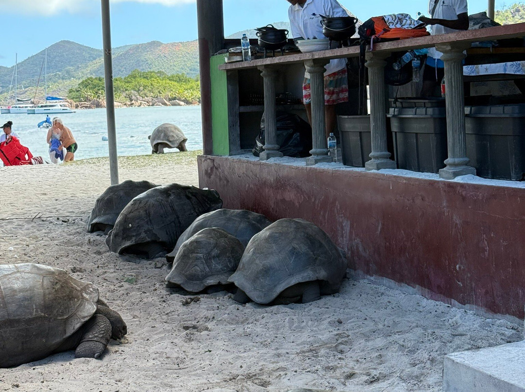 Angel Tours-Amitie必去景点