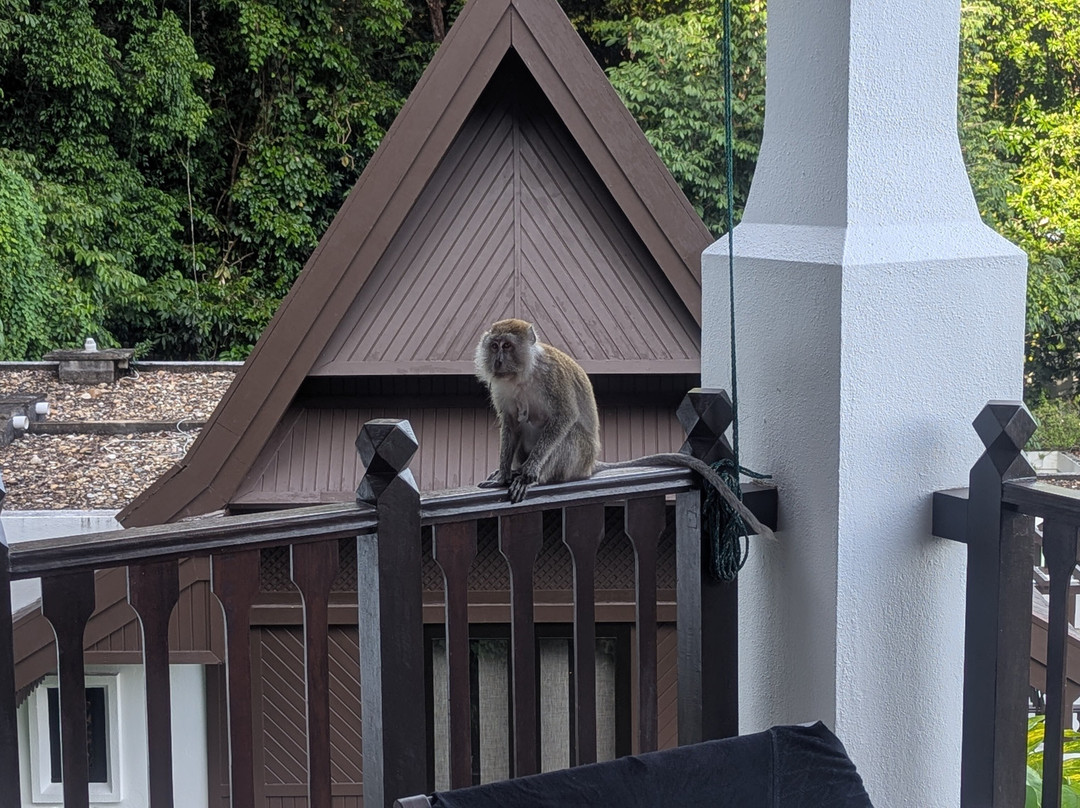 绿中海度假村主图