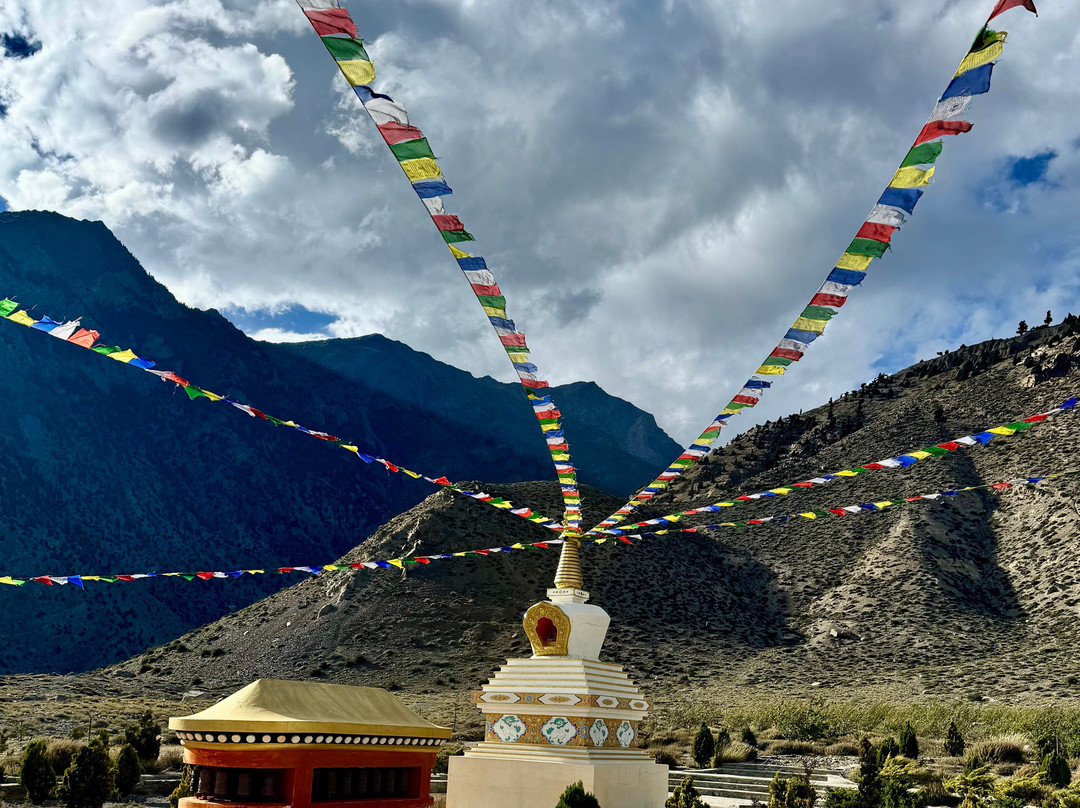 Shinta Mani Mustang主图