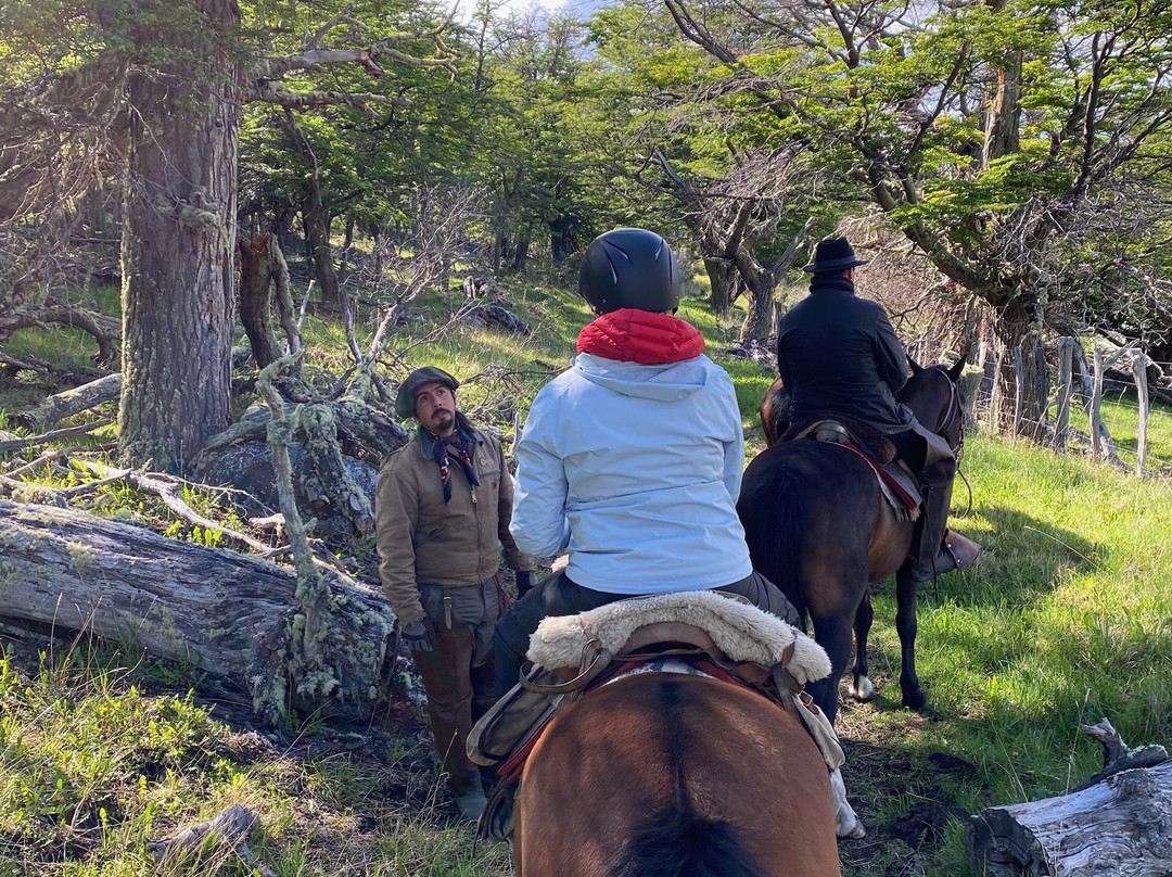 Galope Austral-Torres del Paine必去景点