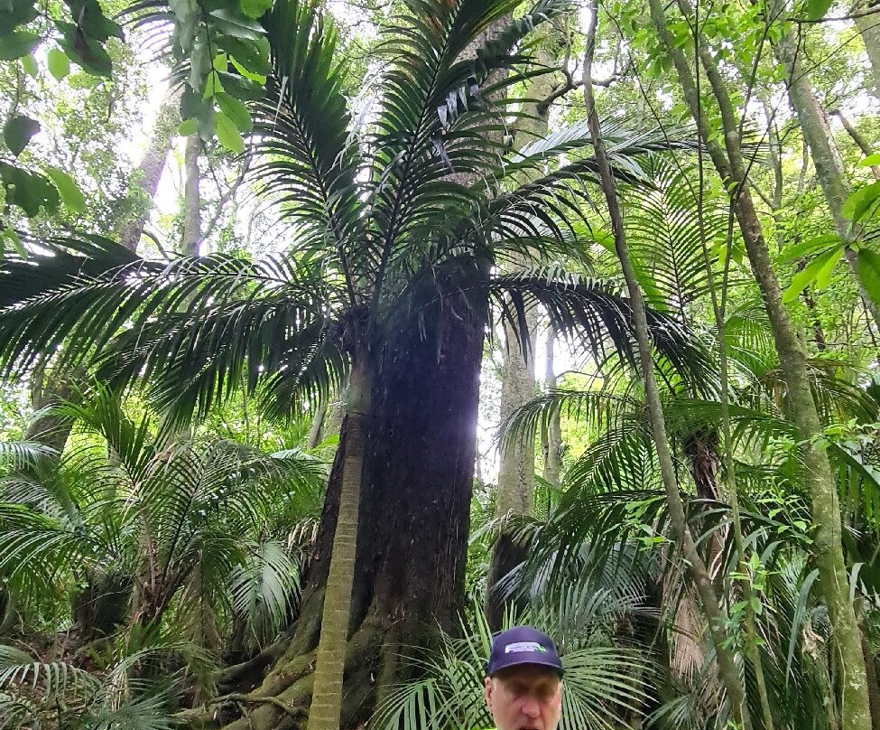 Awakeri Rail Adventures-法卡塔尼必去景点