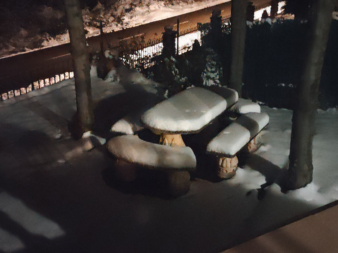 Casa Rural los Pinos主图