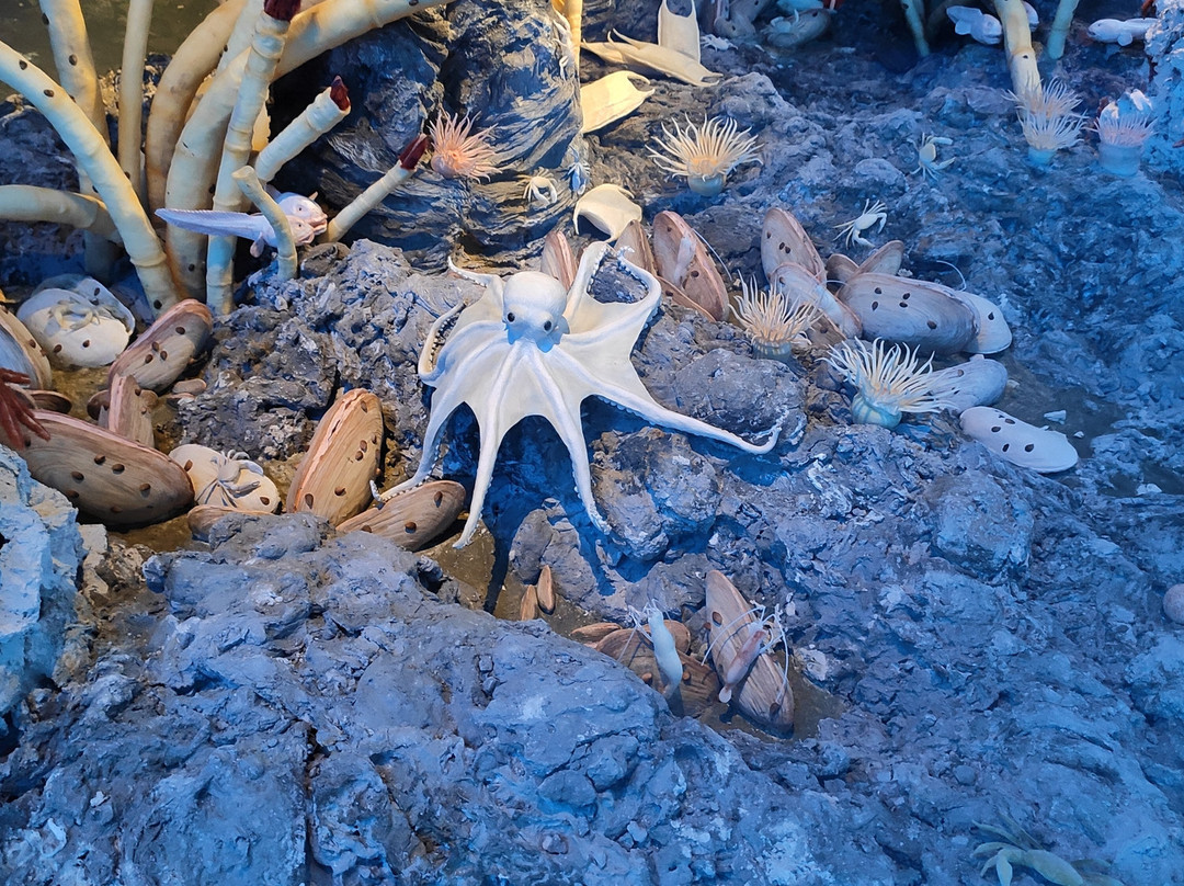 Naturkunde Museum Stuttgart-斯图加特必去景点