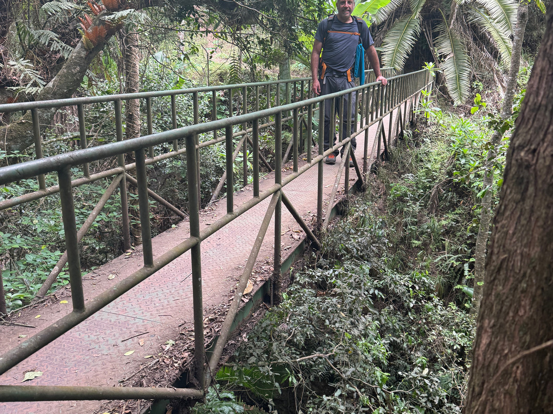 Kili Treks Tanzania-莫西必去景点
