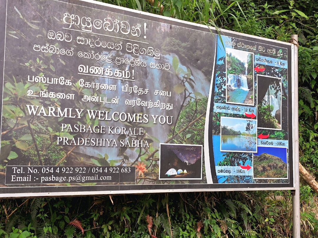 Kadiyanlena Falls-Nawalapitiya必去景点