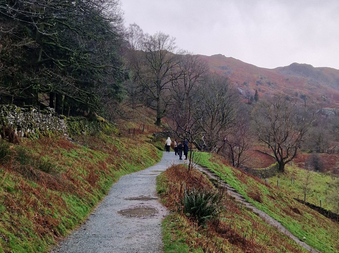 Total Adventure Bike Hire-温德米尔必去景点