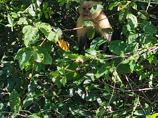 Miravalles Tours-Coco必去景点