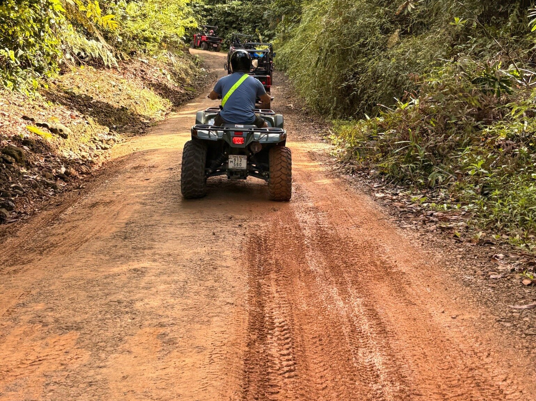Jungle ATV Quad Tours-乌维塔必去景点
