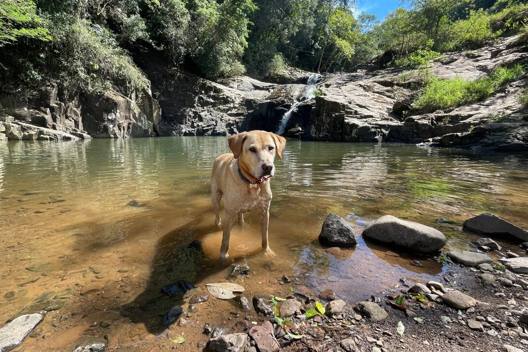 Cascata da Solitaria-Igrejinha必去景点