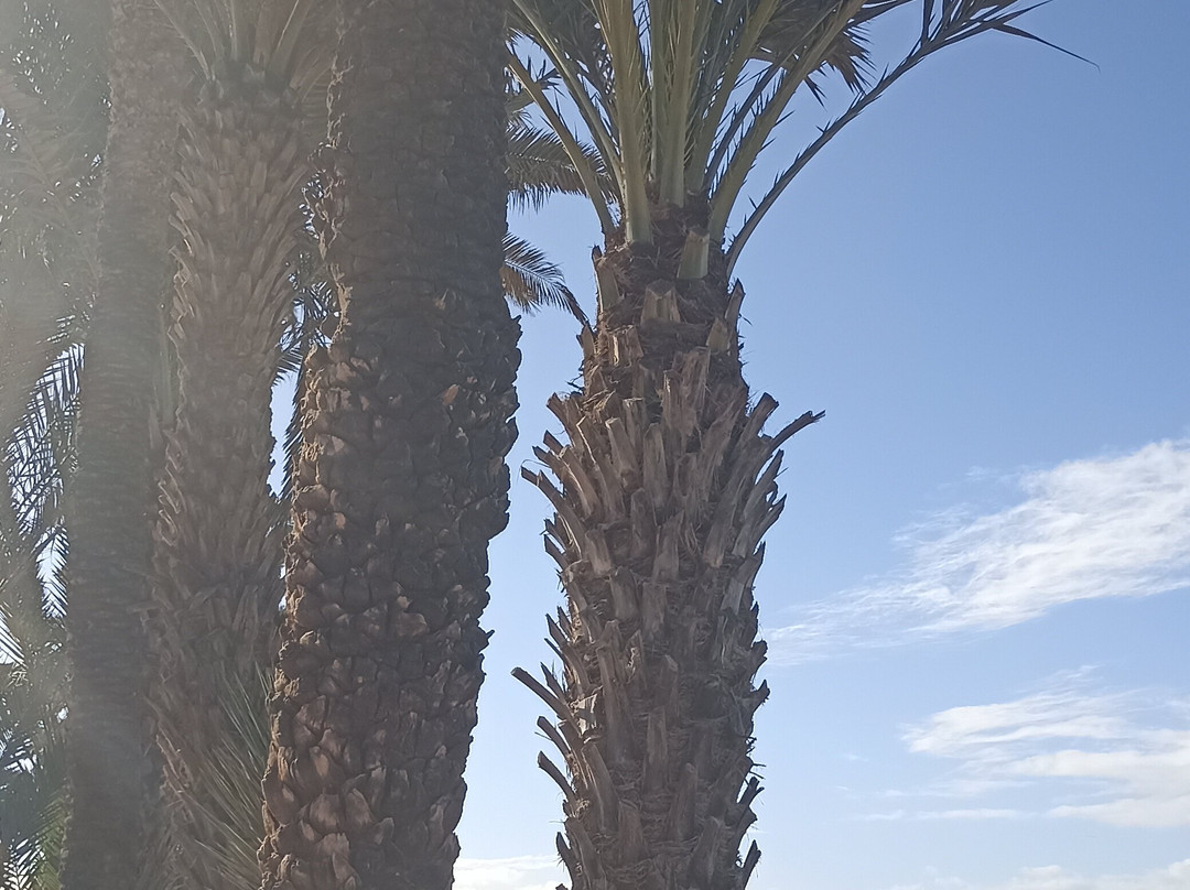 Agadir Fishing Port-阿加迪尔必去景点