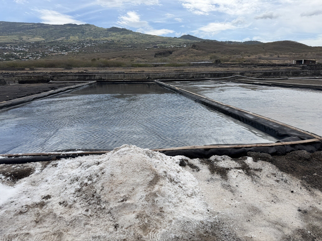 Le Musée du Sel-圣亮必去景点