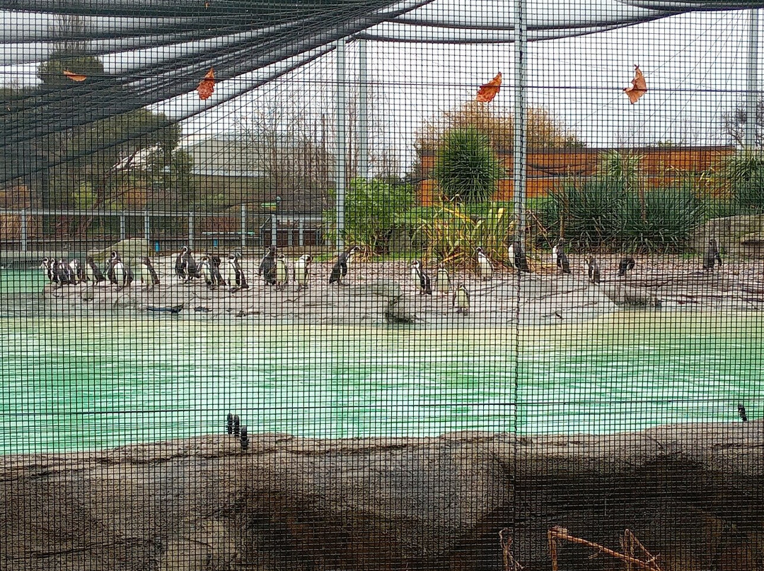 Voel Coaches-Dyserth必去景点