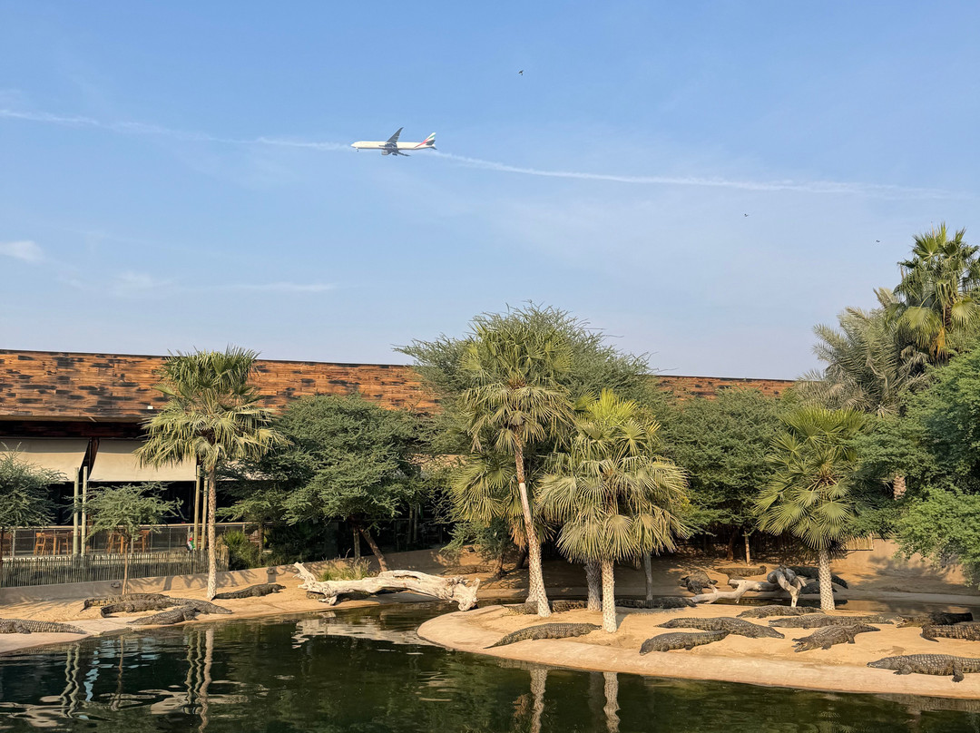 Dubai Crocodile Park-迪拜必去景点