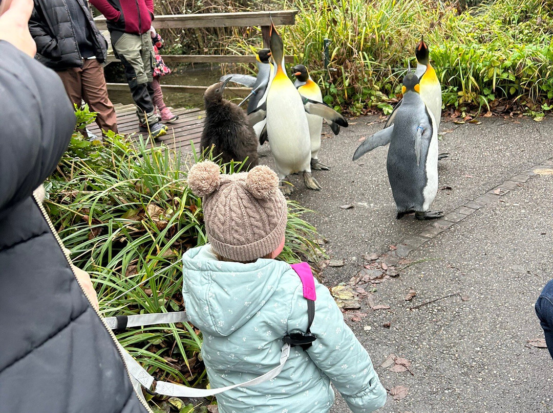 Zoo Basel-巴塞尔必去景点